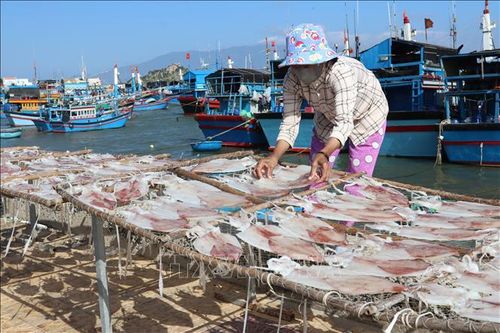 Đa dạng hải sản khô phục vụ Tết Giáp Thìn