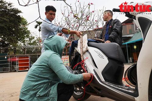 Đào Nhật Tân xuống phố, giá bạc triệu vẫn hút người chơi