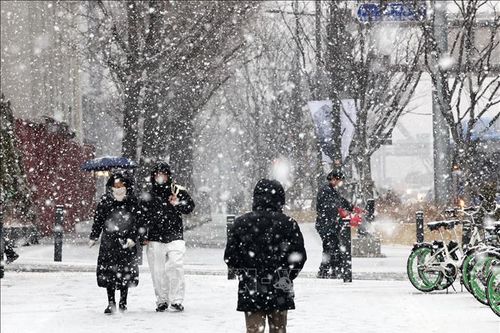Hàn Quốc cảnh báo về tuyết rơi dày tại khu vực đại Seoul