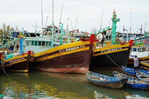 Một tàu cá Bình Thuận bị tàu vận tải đâm chìm, 5 ngư dân được cứu vớt