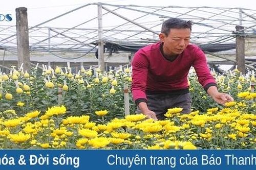 Lan tỏa phong trào nông dân thi đua sản xuất, kinh doanh giỏi