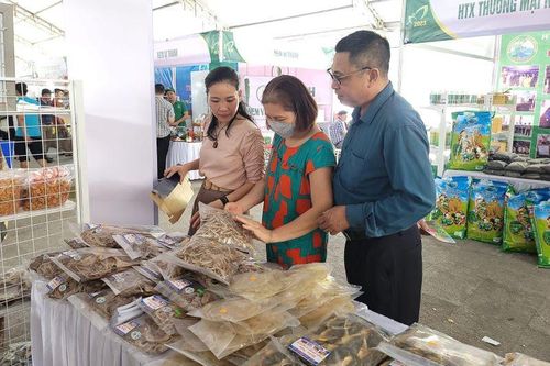 Tổ chức 100 gian hàng quảng bá, giới thiệu nông sản, sản phẩm OCOP dịp Tết Nguyên đán Giáp Thìn 2024