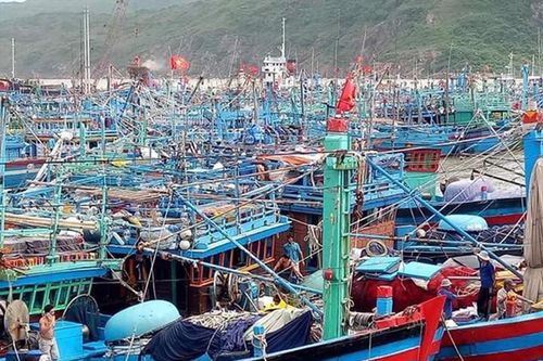 Phát triển thủy sản bền vững cần 115,6 triệu USD, dự kiến ký hiệp định vay vốn WB vào tháng 9/2024