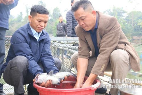 Khai thác tiềm năng từ nước mặt để phát triển kinh tế