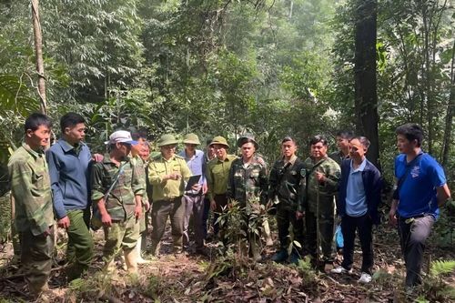 Bát Xát phát huy vai trò lãnh đạo của Đảng trong công tác bảo vệ, phát triển rừng