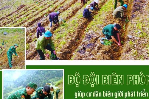 Bộ đội biên phòng giúp cư dân biên giới phát triển kinh tế