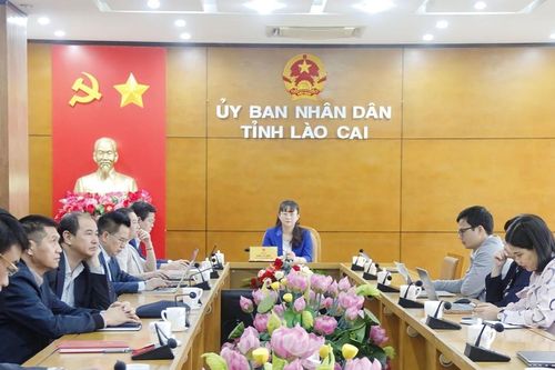 Hội nghị trực tuyến tổng kết công tác y tế năm 2023