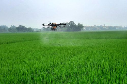 Ứng dụng khoa học kỹ thuật trong trồng trọt