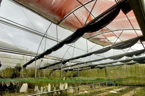 Sai phạm tại Sở KH-CN Quảng Ngãi - bài 2: Đề tài khoa học trùng lặp, mua sắm thiết bị nhưng không sử dụng gây lãng phí ngân sách