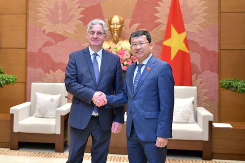 Chủ nhiệm Ủy ban Đối ngoại Vũ Hải Hà tiếp Phó Chủ tịch Thương mại quốc tế của Nghị viện châu Âu