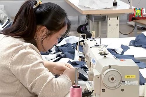 Dự báo thêm 230.500 doanh nghiệp mới năm 2024
