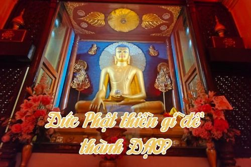 Đức Phật thiền gì để thành ĐẠO?