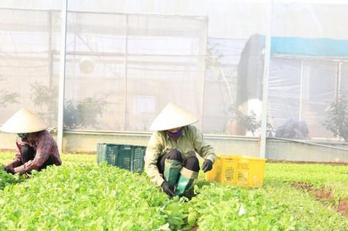97,6% mẫu nông lâm thủy sản trên thị trường bảo đảm an toàn thực phẩm