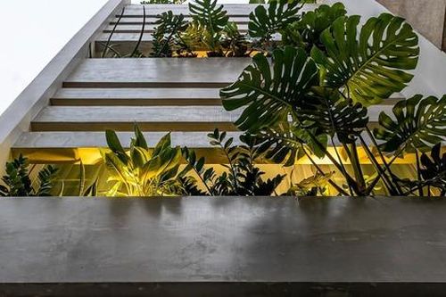Nhà Sài Gòn làm rèm cây chống tiếng ồn