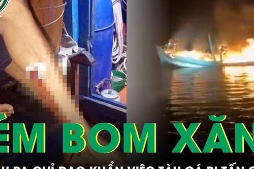 Cà Mau chỉ đạo 'nóng' sau vụ tàu cá bị tấn công, ném bom xăng