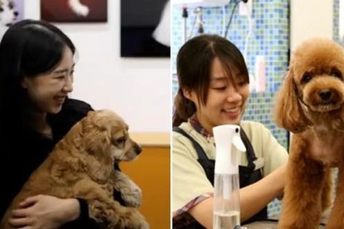 Người vi phạm bị phạt nặng thế nào sau khi Hàn Quốc thông qua dự luật cấm ăn thịt chó?