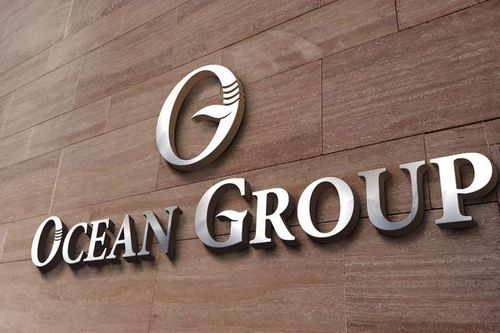 Loạt nhân sự cấp cao của Ocean Group xin từ nhiệm
