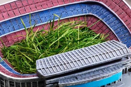 Barca bán cỏ sân Camp Nou để trả nợ