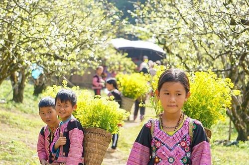 Vẻ đẹp bình yên và thơ mộng của cao nguyên Mộc Châu