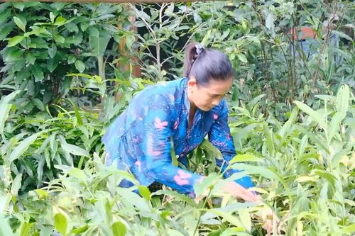 Sắc áo mới ở vùng đất phía Tây sông Hậu