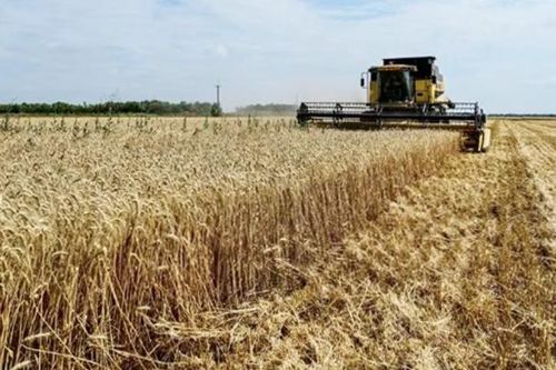 Ukraine đã xuất khẩu 15 triệu tấn hàng hóa qua hành lang vận chuyển mới