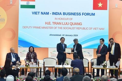 Hợp tác kinh tế Việt Nam - Ấn Độ sẽ ngày càng 'đơm hoa kết trái'