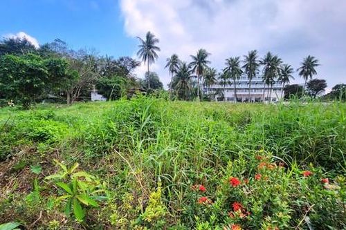 Một doanh nghiệp trúng đấu giá khu đất vàng ven sông Hương với giá 'khủng'