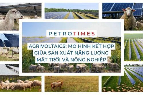 Agrivoltaics: Mô hình kết hợp giữa sản xuất năng lượng mặt trời và nông nghiệp