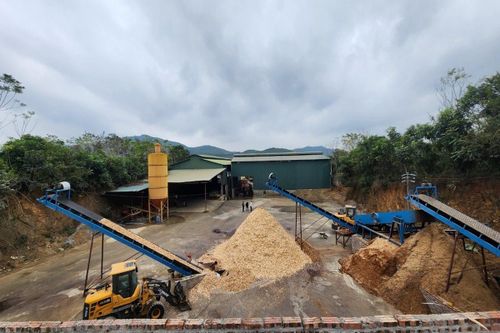 Thanh Hóa: Thành lập đoàn kiểm tra hoạt động mua bán, chế biến lâm sản