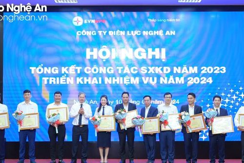 Phó Chủ tịch Thường trực UBND tỉnh: Triển khai các giải pháp đồng bộ, đảm bảo điện năng đáp ứng yêu cầu phát triển kinh tế - xã hội của tỉnh