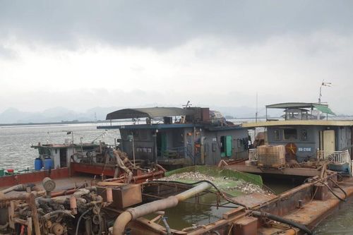 Bộ Tư lệnh Vùng Cảnh sát Biển 1 tạm giữ 900m3 cát không có nguồn gốc hợp pháp