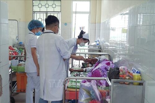 Một người tử vong, 3 người nhập viện nghi do uống nước rễ cây rừng
