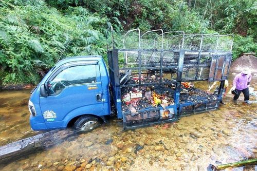Xe tải bốc cháy trên đèo, tài xế nhanh trí lao xuống suối để dập lửa