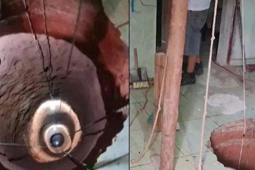 Nằm mơ thấy kho báu, chết vì đau đáu kiếm tìm