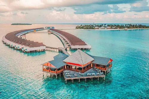 Vạ miệng trên mạng xã hội, 3 quan chức hàng đầu Maldives khiến quốc đảo du lịch có nguy cơ mất đi hàng triệu USD