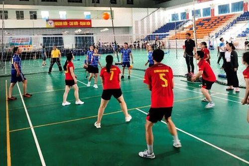 Phát triển môn bóng chuyền
