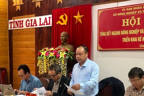 Ngành nông nghiệp cần tăng cường quản lý giống cây trồng, vật nuôi và vật tư nông nghiệp