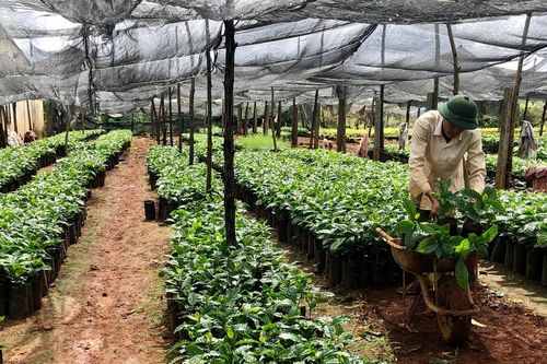 16 cơ sở kinh doanh vật tư nông nghiệp bị xử phạt 65,2 triệu đồng