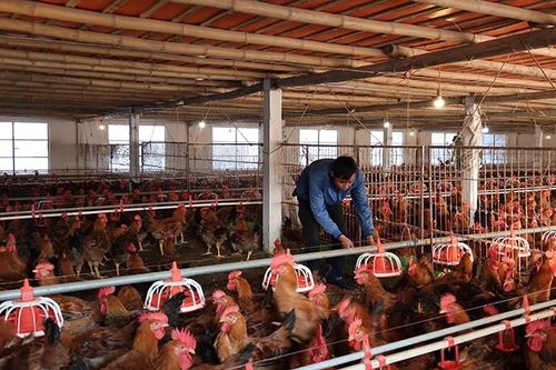 Lan tỏa dòng vốn vào nền kinh tế