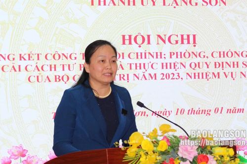 Thành ủy tổng kết công tác nội chính, phòng chống tham nhũng, cải cách tư pháp