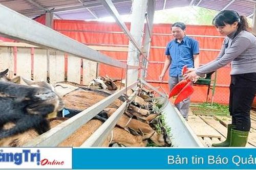 Chuyển đổi vật nuôi phù hợp để phát triển kinh tế bền vững