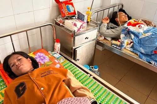 4 người thương vong nghi do uống nước rễ cây rừng