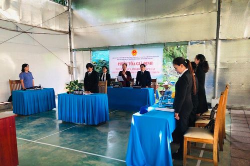Vai trò của luật sư trong việc bảo vệ quyền trẻ em