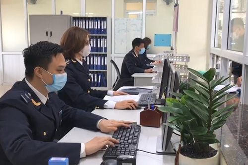 Xử lý 126 vụ vi phạm pháp luật hải quan