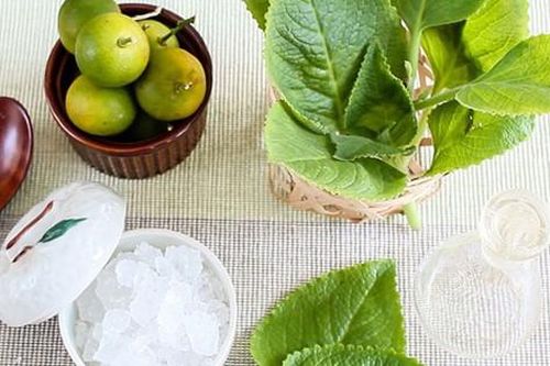 11 bài thuốc chữa bệnh từ cây húng chanh