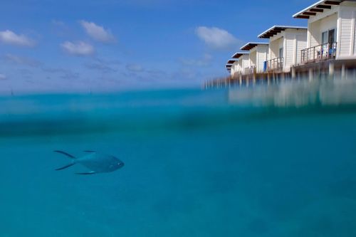Maldives trả giá đắt