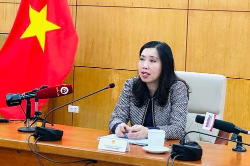 Triển khai mạnh mẽ, toàn diện công tác về người Việt Nam ở nước ngoài