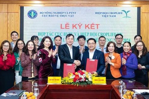 Đồng hành phát triển ngành trồng trọt bền vững, an toàn