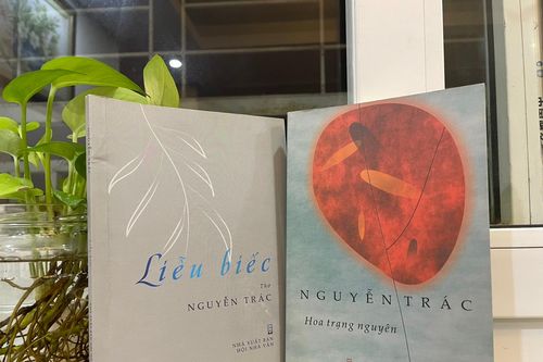 Nguyễn Trác 'gió vẫn trên đường'