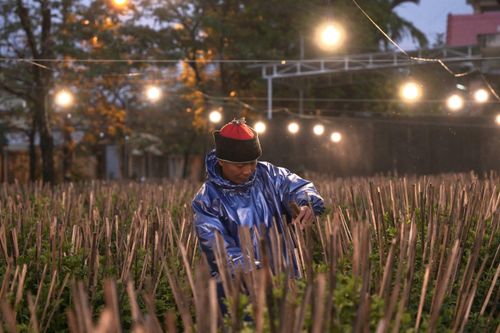 Người Huế lại chong đèn chăm hoa Tết